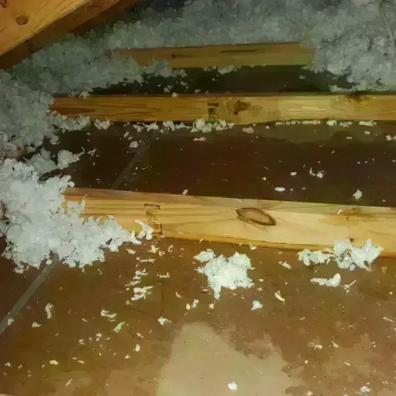 Attic Water Damage in Valley Falls, KS