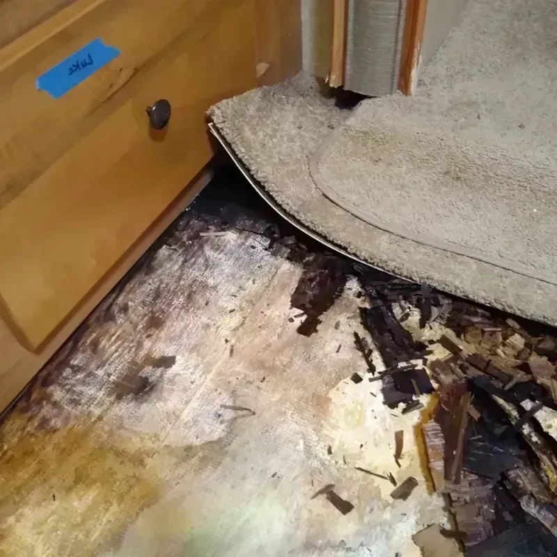 Wood Floor Water Damage in Valley Falls, KS